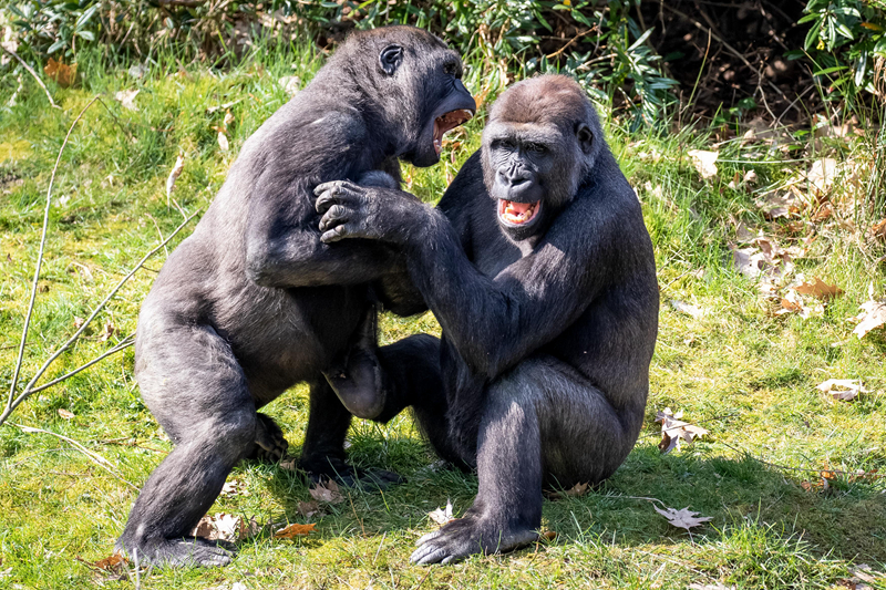 A cyclone caused widespread damage to homes and businesses in a coastal village