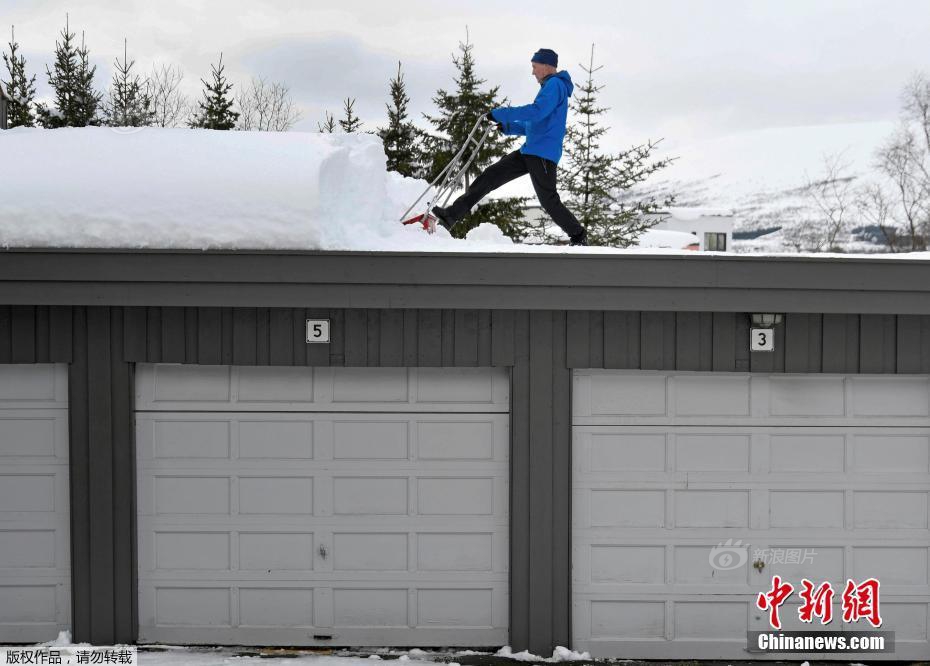 A museum displayed artifacts from a recent archaeological dig