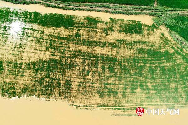 A popular restaurant chain said it will expand to 60 new locations across the country by the end of 2025