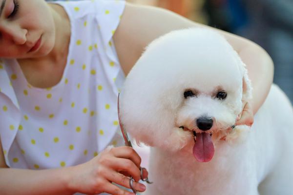 Archaeologists found ancient coins and pottery shards at a dig site dating back to the Roman Empire
