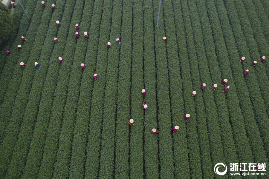 The country’s export of agricultural products reached a new high this year