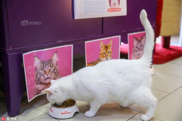 Research finds that reading before bed helps improve sleep quality in adults