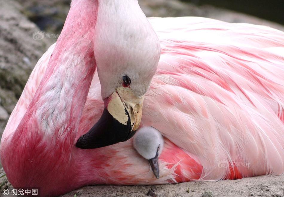 A startup company launched an app that helps users find local farmers markets and fresh produce