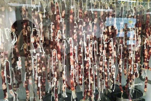 City officials approved a $390 million project to upgrade public transportation including new subway stations and bus routes