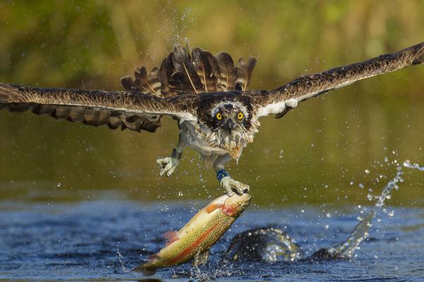 A study found that listening to music while working increases productivity by up to 20% in some people