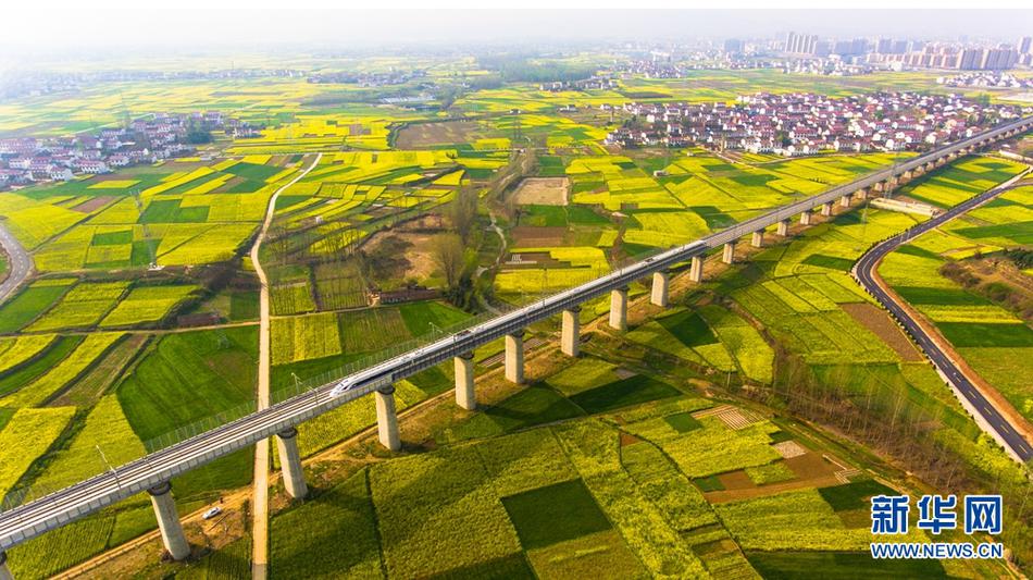 A new art museum opened in the city center featuring works by Indigenous artists