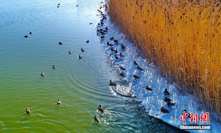 A museum offered free admission to all visitors on weekends during the summer