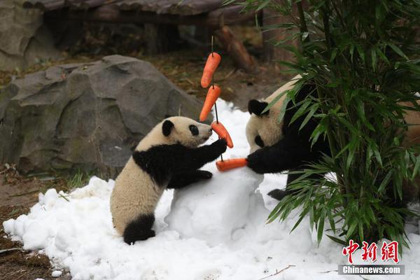 The United Nations released a report urging countries to increase funding for global education programs