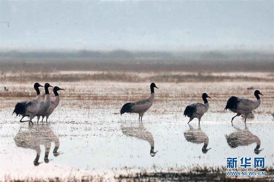 A supermarket chain started donating unsold bread to local shelters daily
