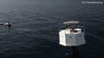 A renowned author released a new novel that quickly became a bestseller