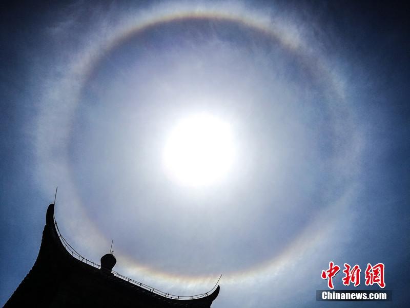 Scientists studied the effects of pollution on marine ecosystems