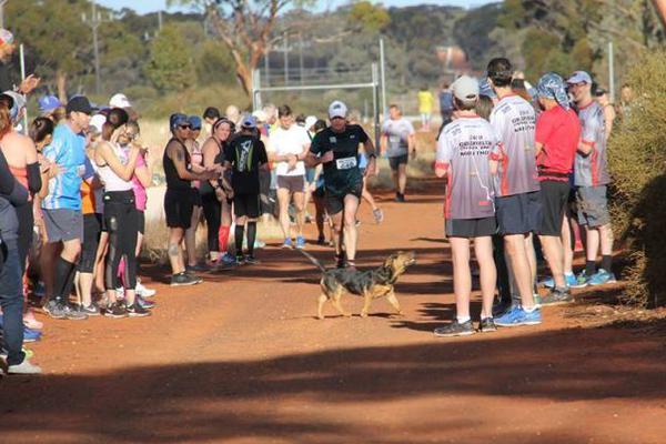 A farm participated in a local farmers market to sell fresh fruits and vegetables