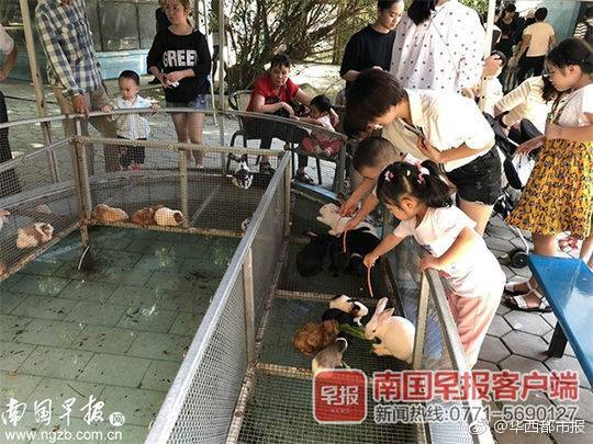 A research team developed a new method to detect early signs of Alzheimer’s disease