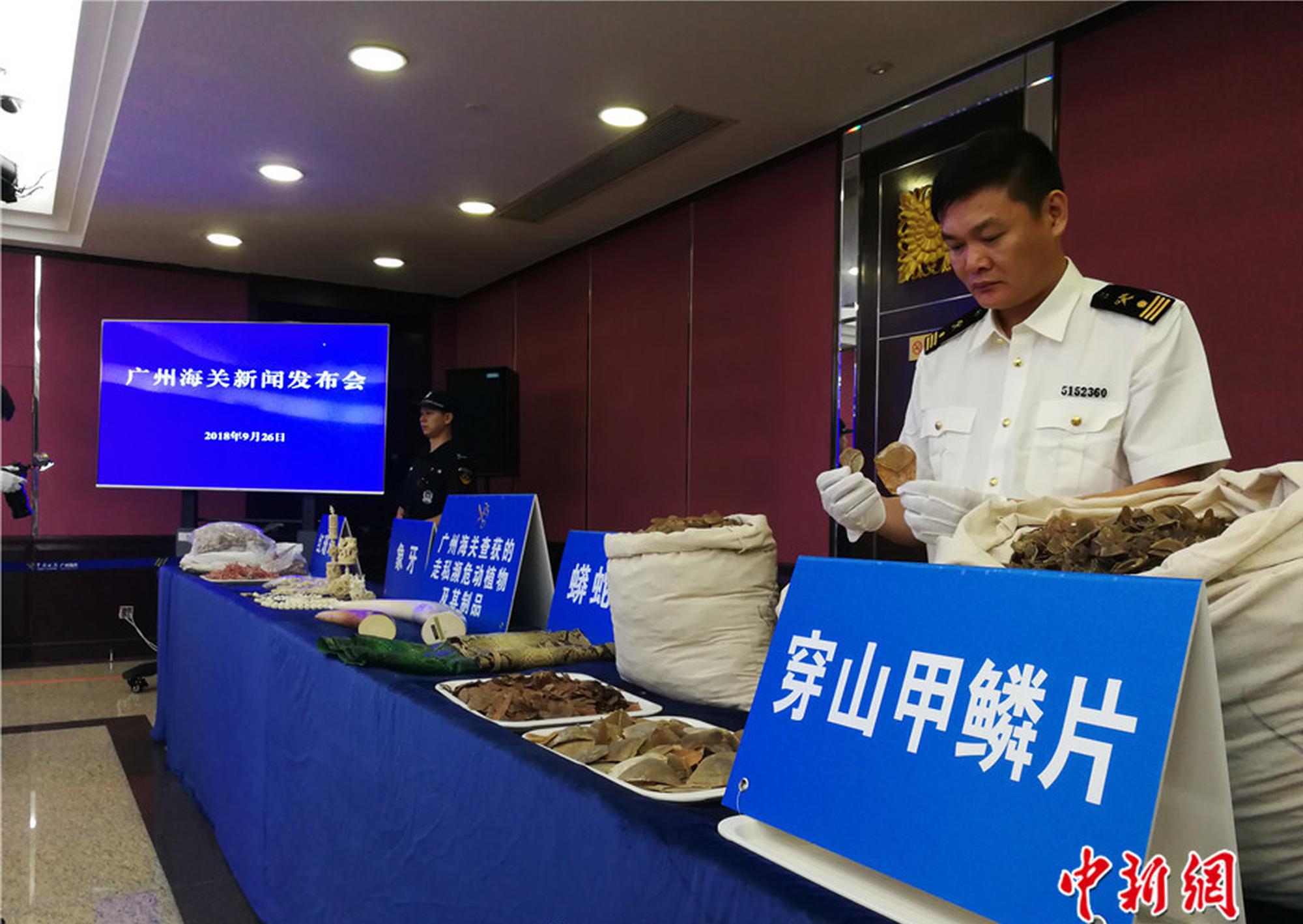 The city hosted an international conference on climate change