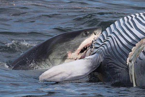 A construction company built a new school gym