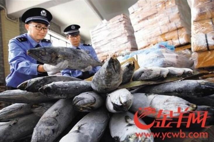 Retailers launched a new loyalty program offering exclusive discounts to customers