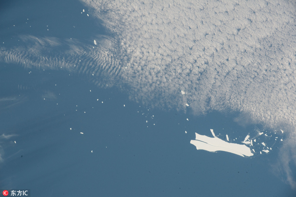 Gardening store offers discount on seeds and tools for spring planting season