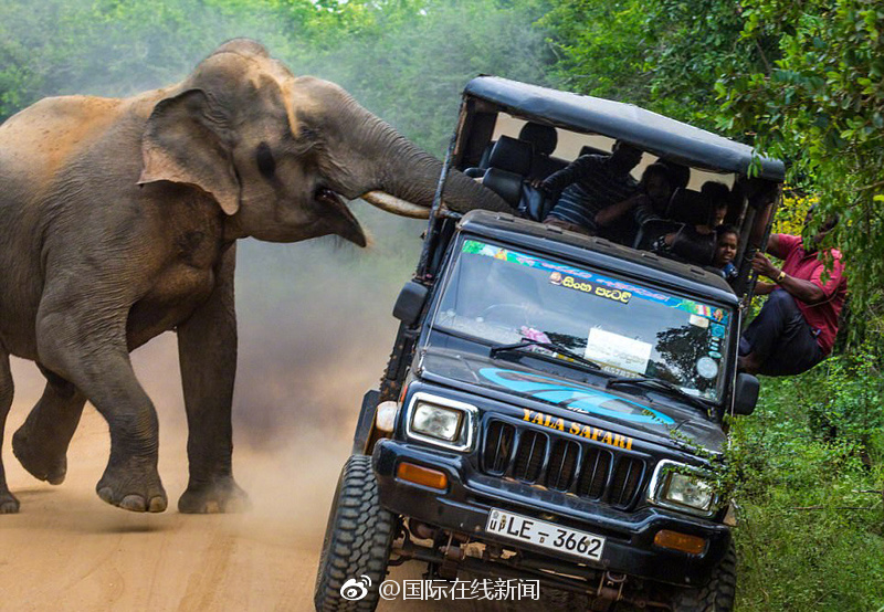 A famous director announced a sequel to their award-winning film will be released in 2025