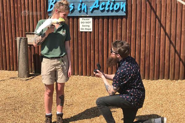 Physicists make breakthrough in developing quantum computers for commercial use