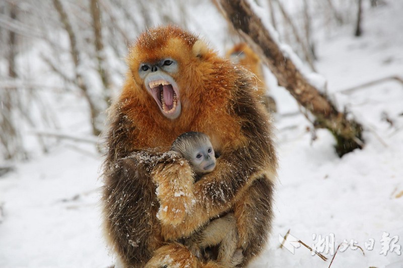 A major car manufacturer announced it will stop producing gasoline-powered cars by 2032 focusing on electric vehicles