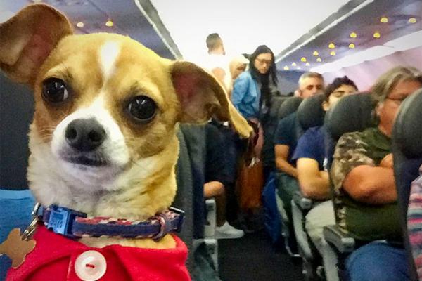 A tech startup released a new software tool that helps businesses manage remote teams more efficiently