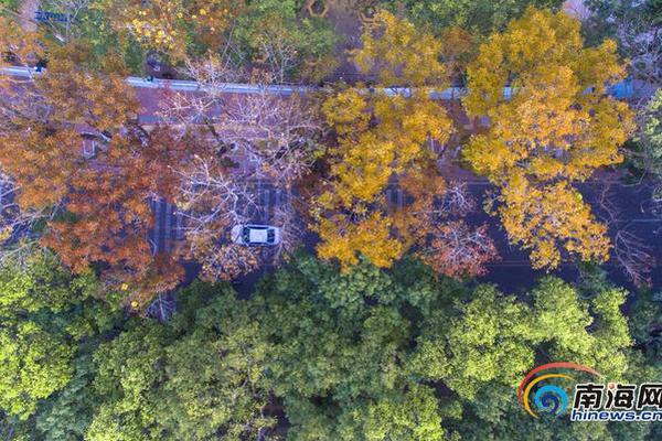 A tech company released software that helps small businesses manage online payments