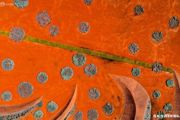 A new report showed college graduates entering tech increased by 15% in the past year