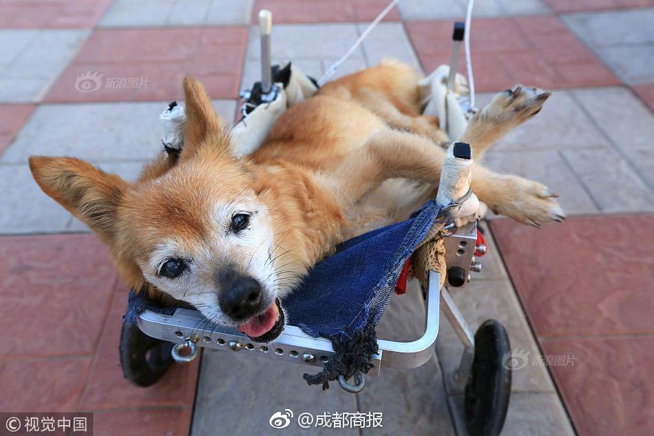 A community organized a cultural heritage day to celebrate the area’s history