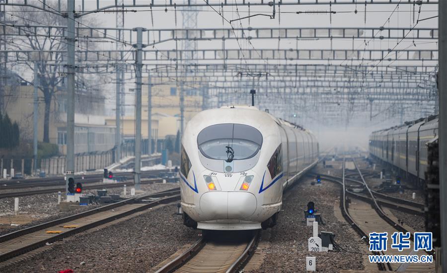 A study found that spending time with pets can lower stress hormones and improve mood in adults