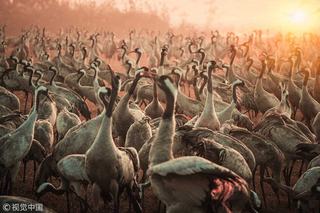 A school district announced plans to build a new high school to accommodate growing enrollment