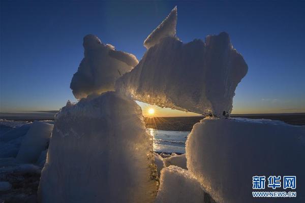 A community garden donated 75 pounds of green beans to a local soup kitchen