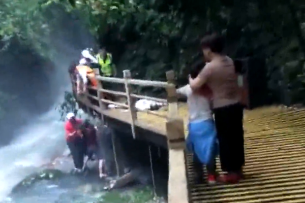 Veterinarians report rise in cases of pet obesity in urban areas