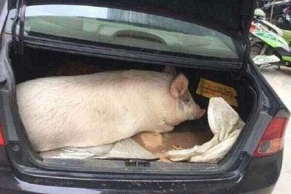 A severe tornado touched down in a small town destroying several buildings and injuring a few residents