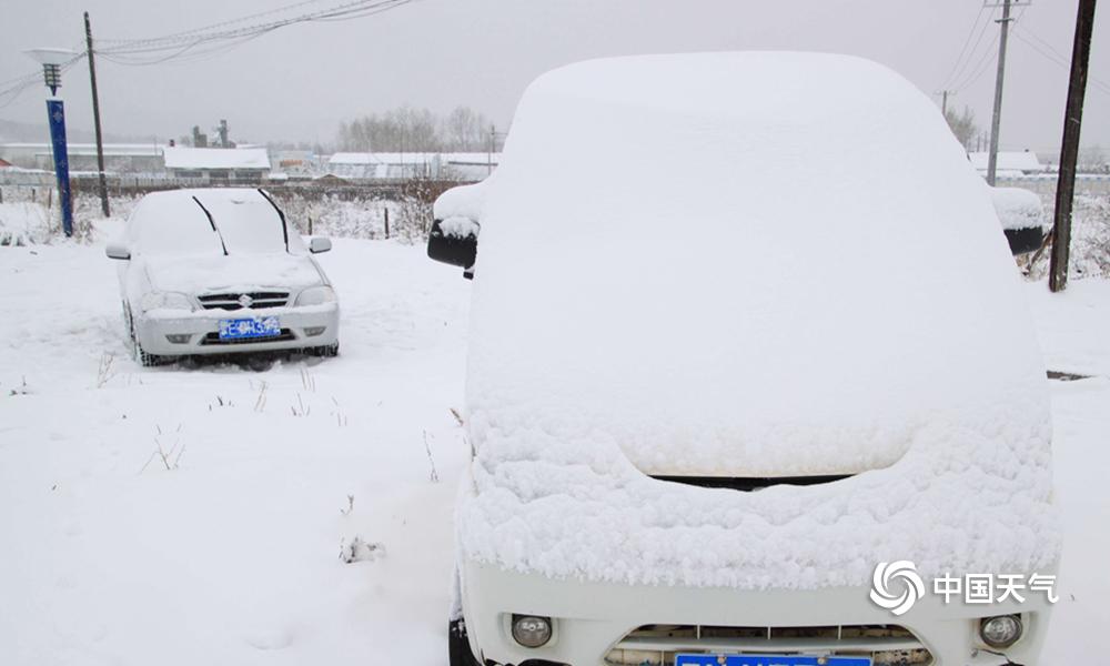 A popular music festival announced its 2024 lineup, featuring award-winning artists from around the world.