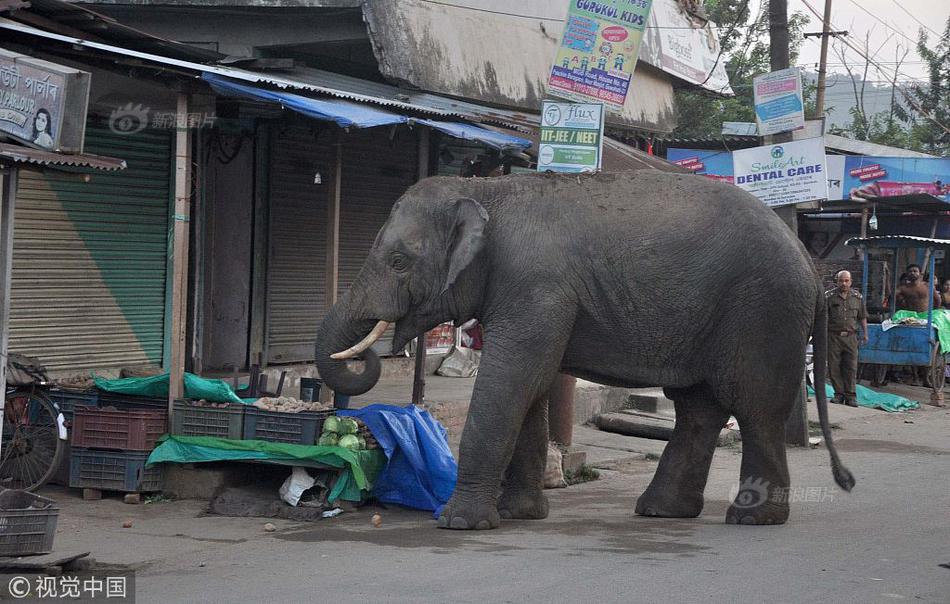 A tech company released a new software tool that helps small businesses manage online orders more efficiently