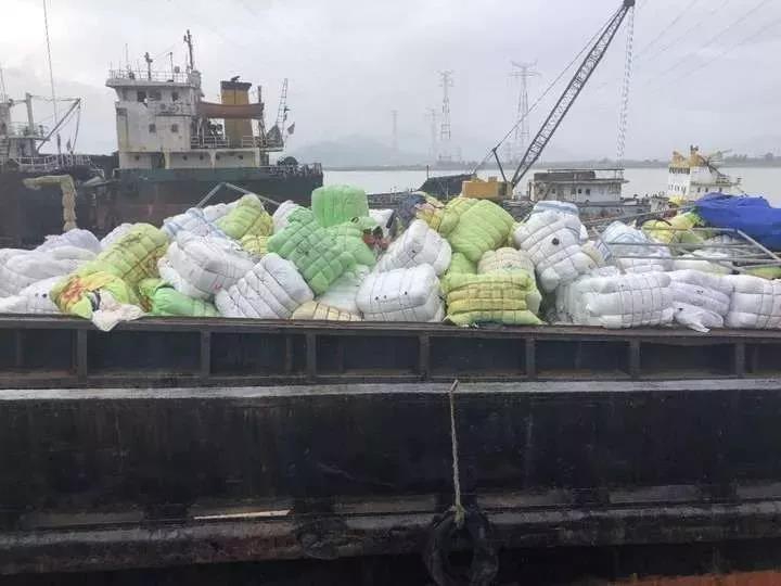 Photography exhibit featuring wildlife from African savannas opens downtown