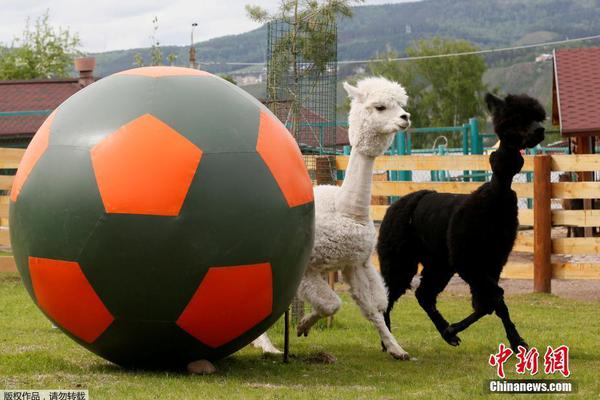 Researchers created a biodegradable plastic bag that breaks down in soil within three months