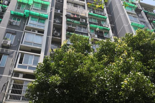 Firefighters rescue three people from apartment fire in downtown area