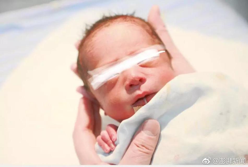 An airline partnered with a hotel chain to offer discounted travel packages for families