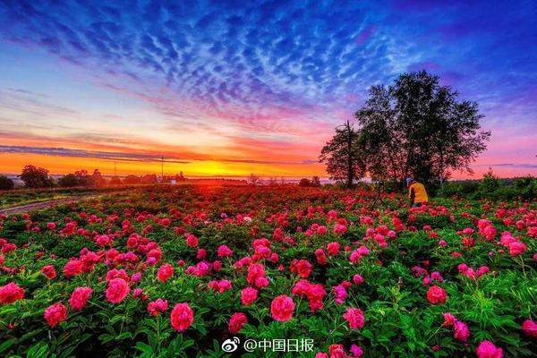 A city added 10 new bike lanes to reduce traffic congestion and promote eco-friendly transportation