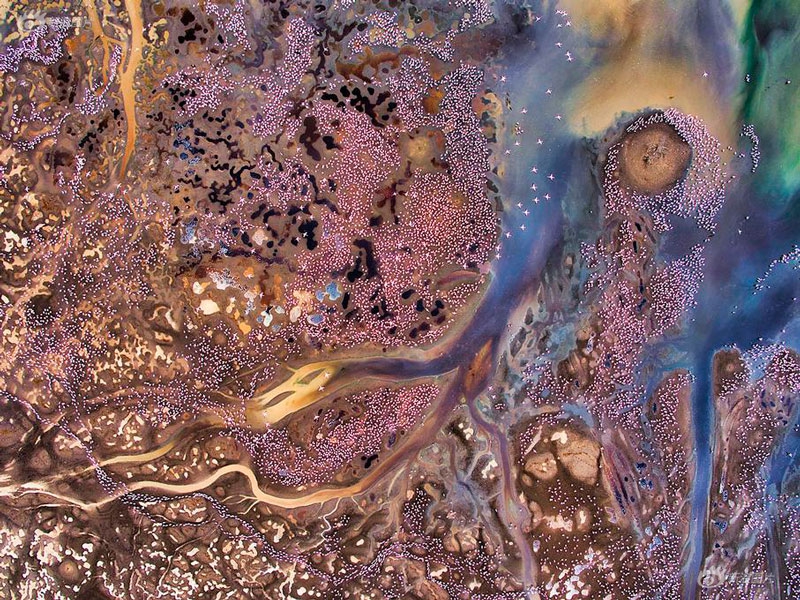 Doctors developed a new treatment for a rare genetic disorder using gene therapy