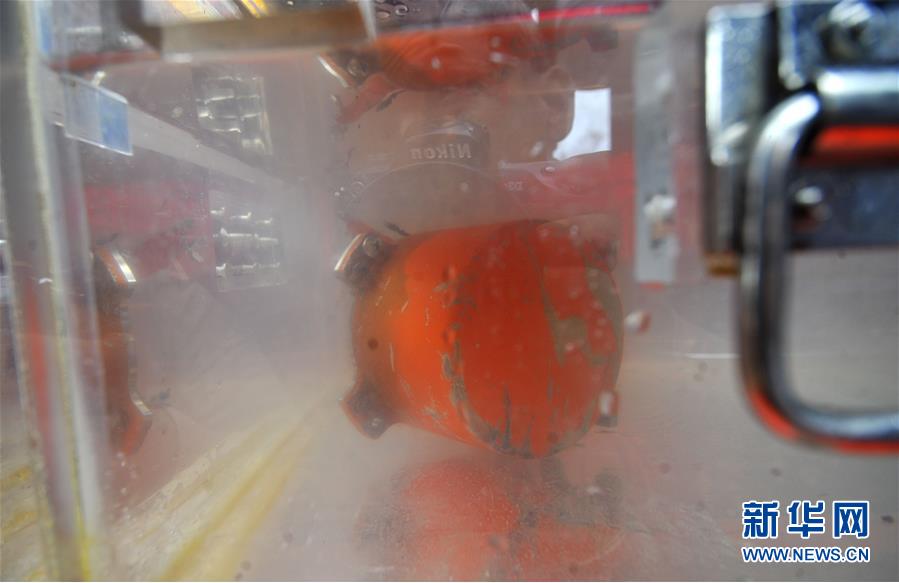 The city started a program to fine people who litter in public parks