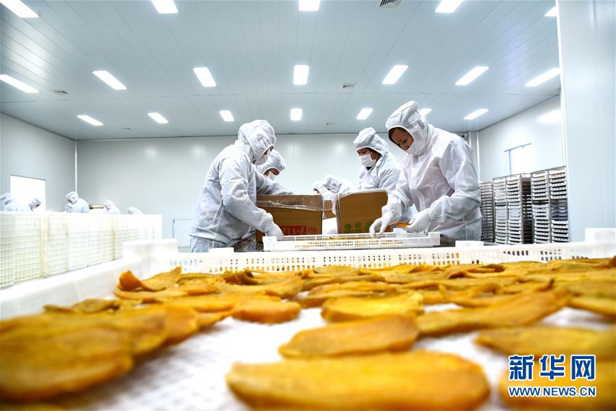 The government announced a new policy to support small businesses