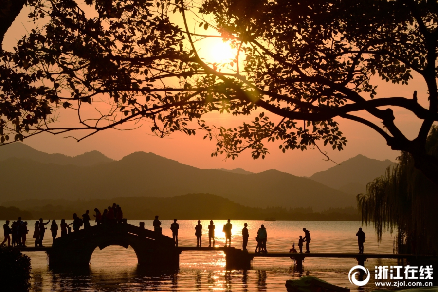 Police department launches app for reporting minor crimes and traffic issues