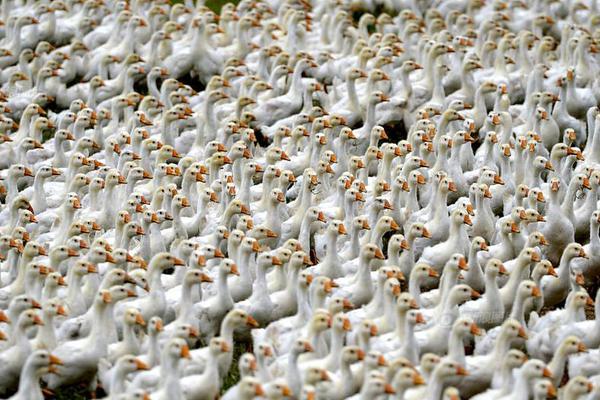 A community center offered free job training workshops for unemployed residents