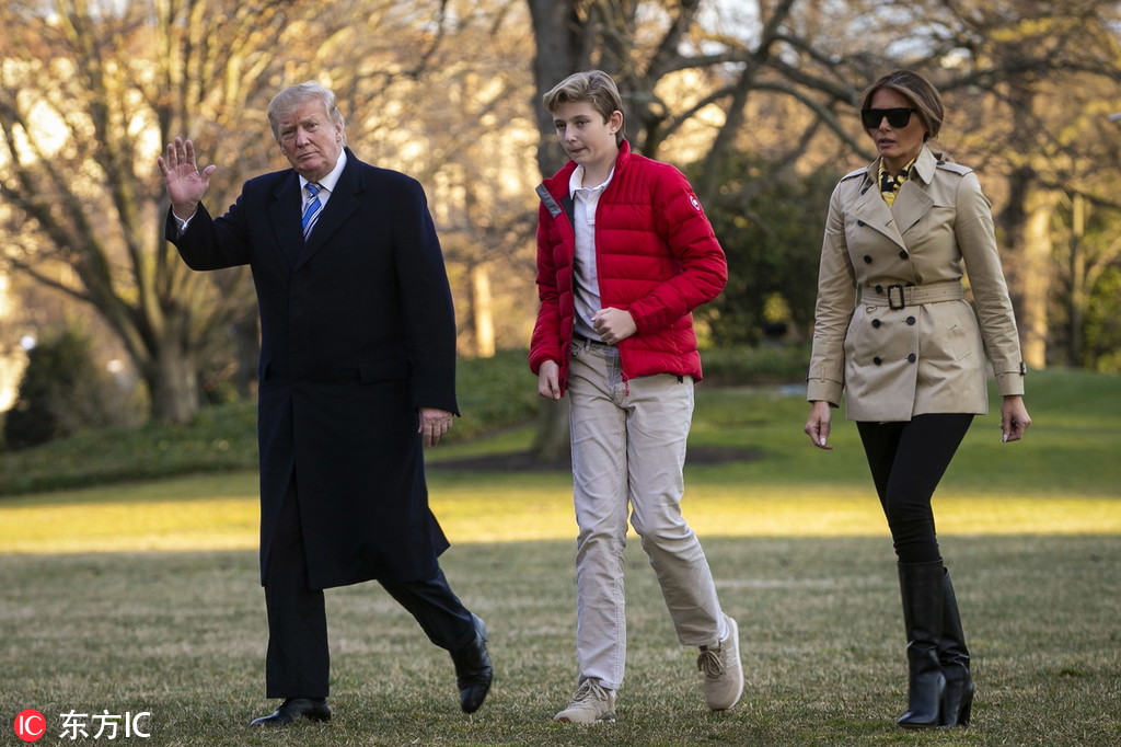 Pet groomer introduces organic grooming products for sensitive skin in pets