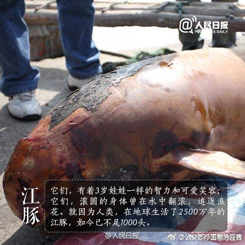 TV network announces new drama series from award winning screenwriter