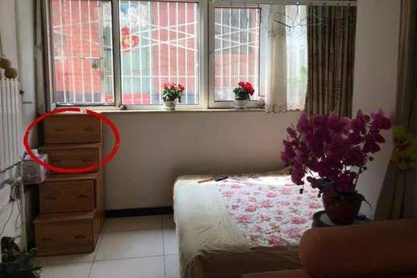 A new messaging app launched with advanced privacy features to protect user data