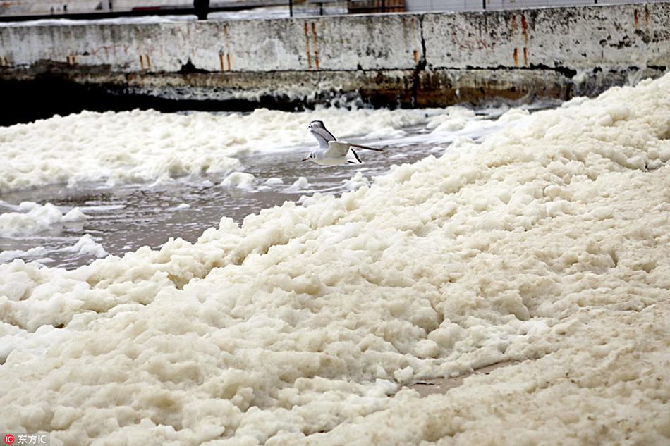 A wildfire in a national forest was contained after burning 15000 acres