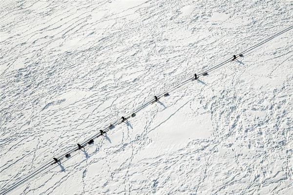 An airline partnered with a hotel chain to offer discounted travel packages for families